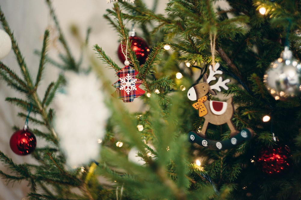 selective focus photography of green Christmas tree