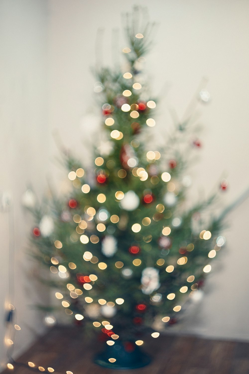lighted Christmas tree