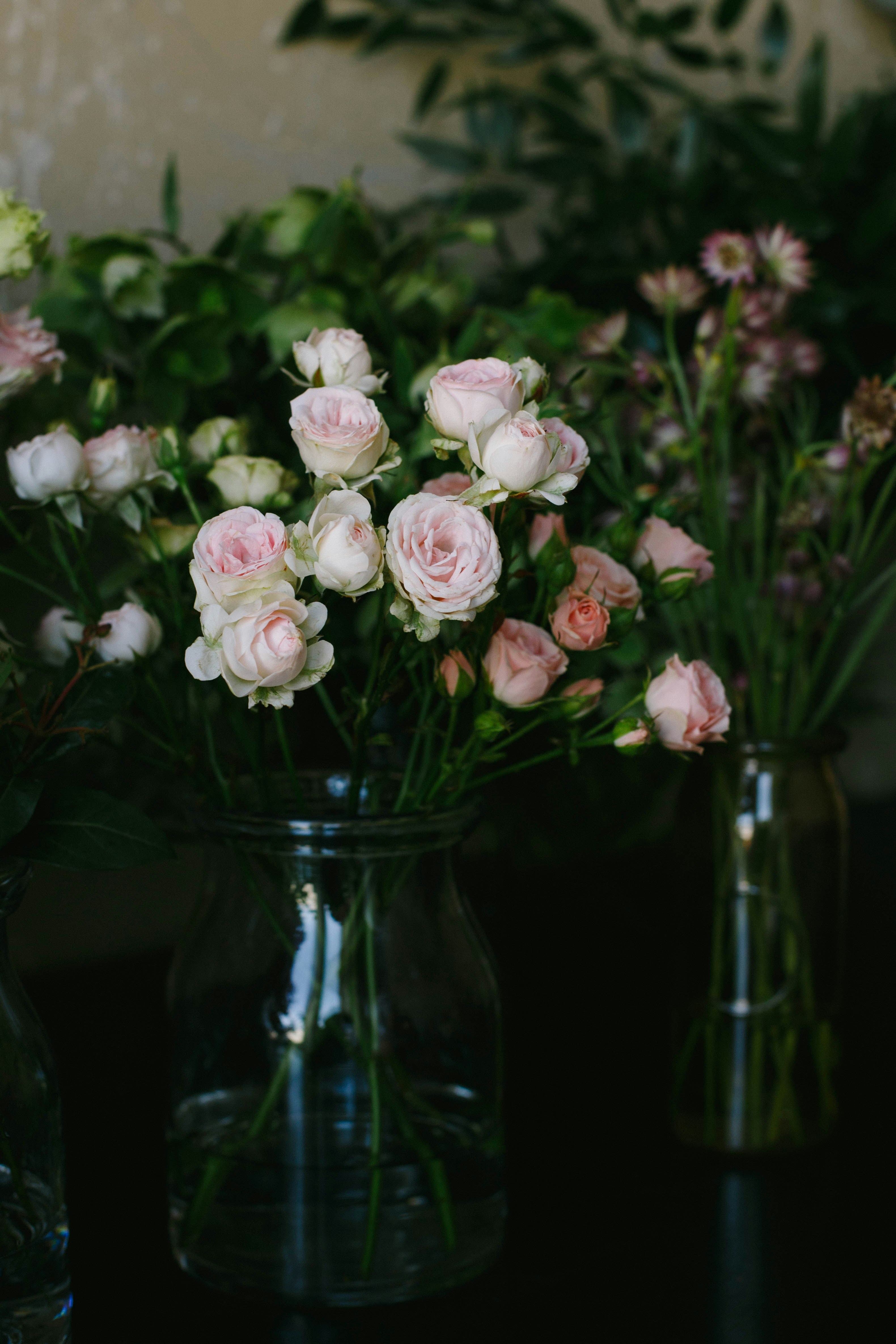white rose flowers in vase