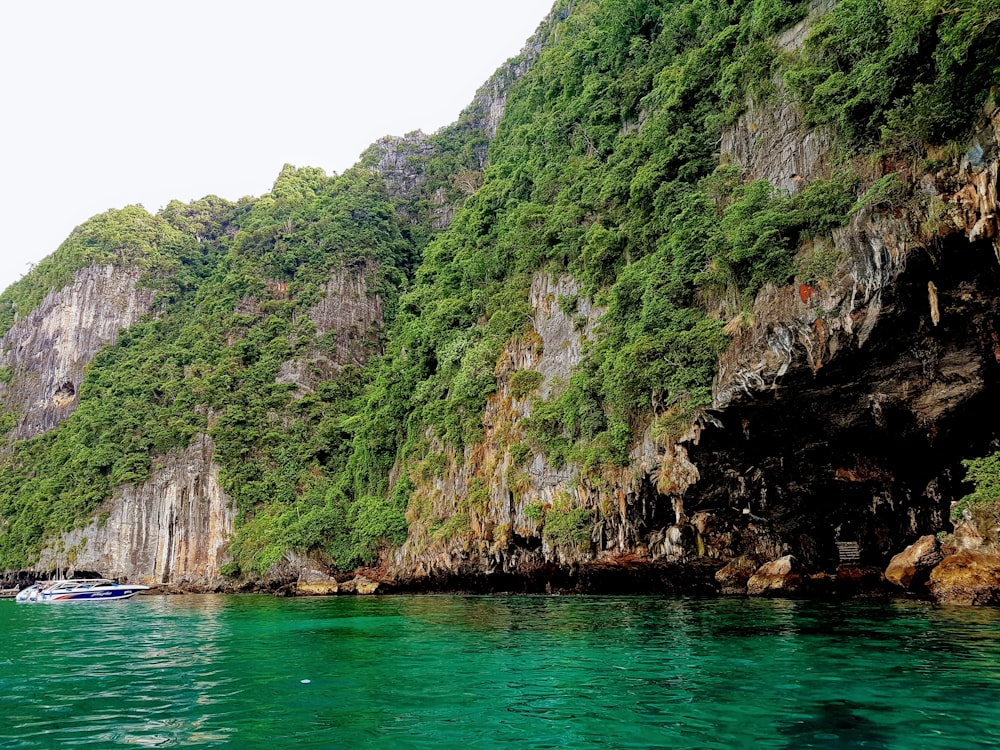 green leafy island rocks