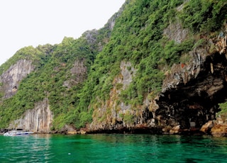 green leafy island rocks