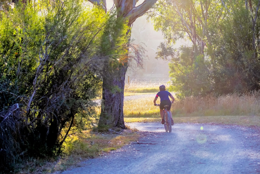 boy riding bicycle near tree