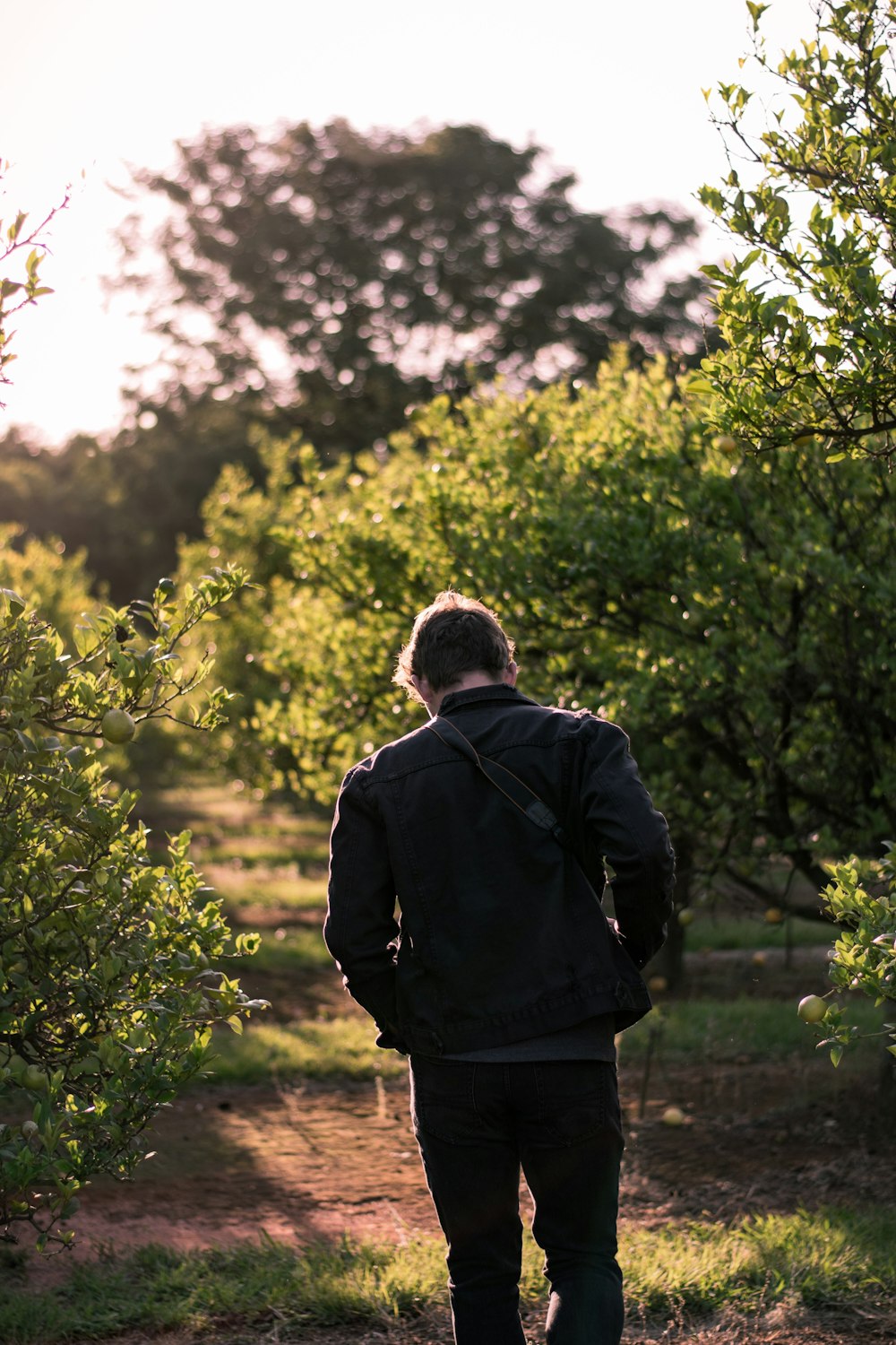 man standing near green-leafed trees during daytime