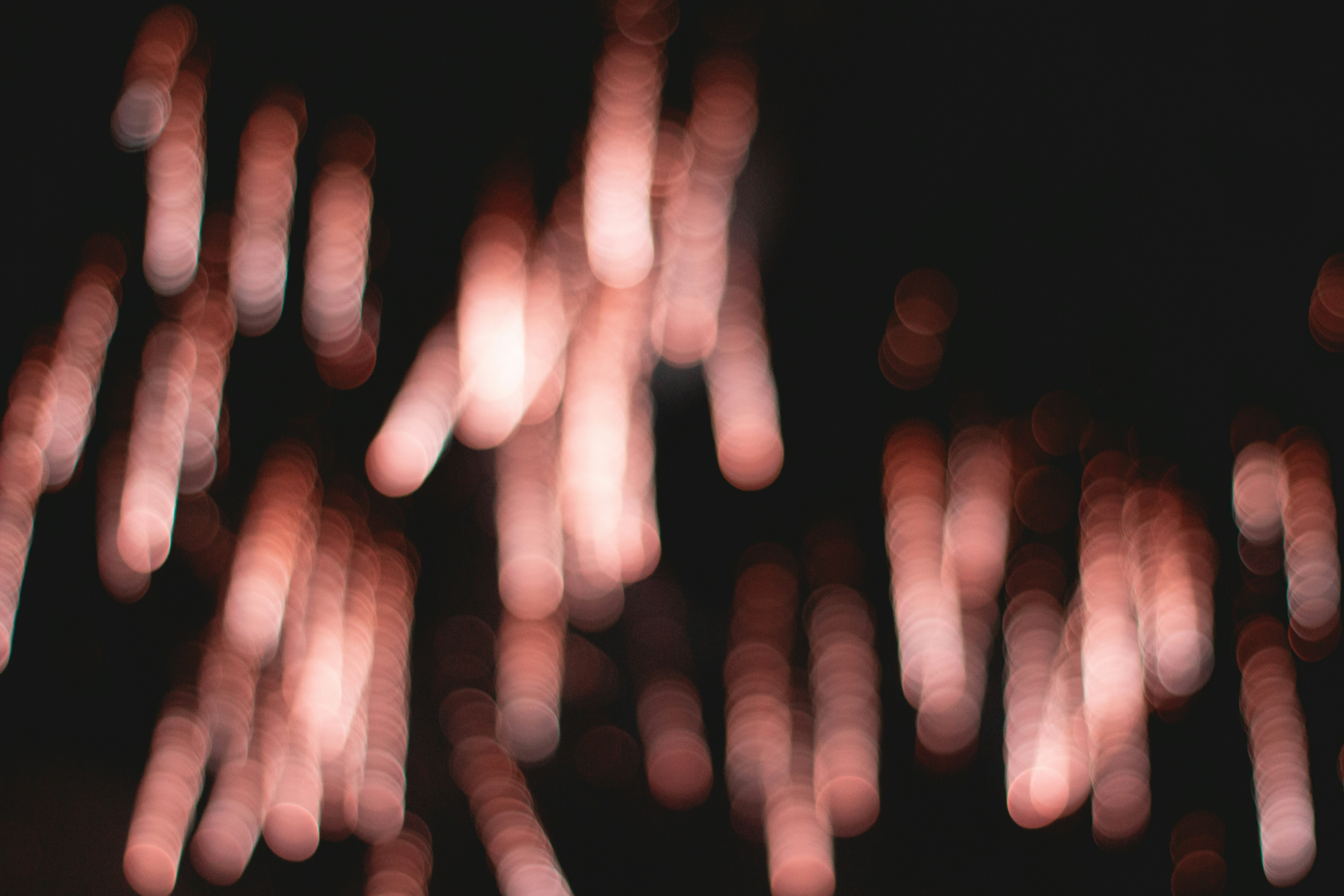 Photo by concretelies_photography