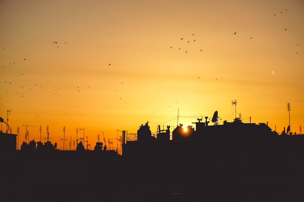 silhouette of buildings