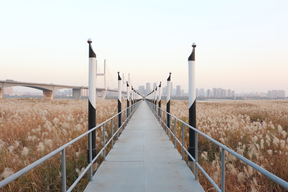 gray metal walk bridge near brown flower field during daytime