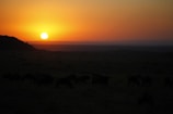 A vibrant sunset over the Zanzibar coastline seen from a safari vehicle.