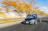 A mach1 speeding along a winding mountain road with autumn leaves blurring past.