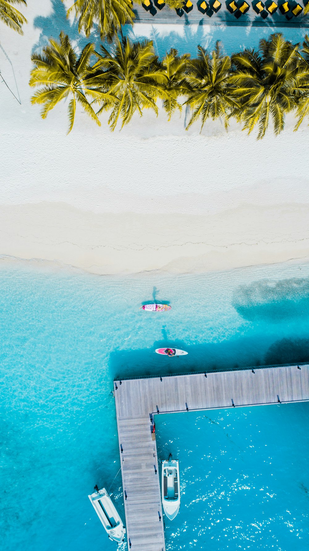 boats near and beside the dock near the shore during day