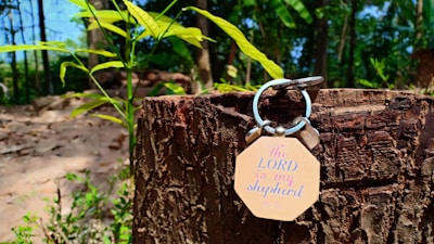 A close-up view of a wooden stump with a keychain attached. The keychain features the inscription 'The LORD is my shepherd' along with a verse reference. Green plants with vibrant leaves surround the stump, and a forested background with trees and foliage is visible.