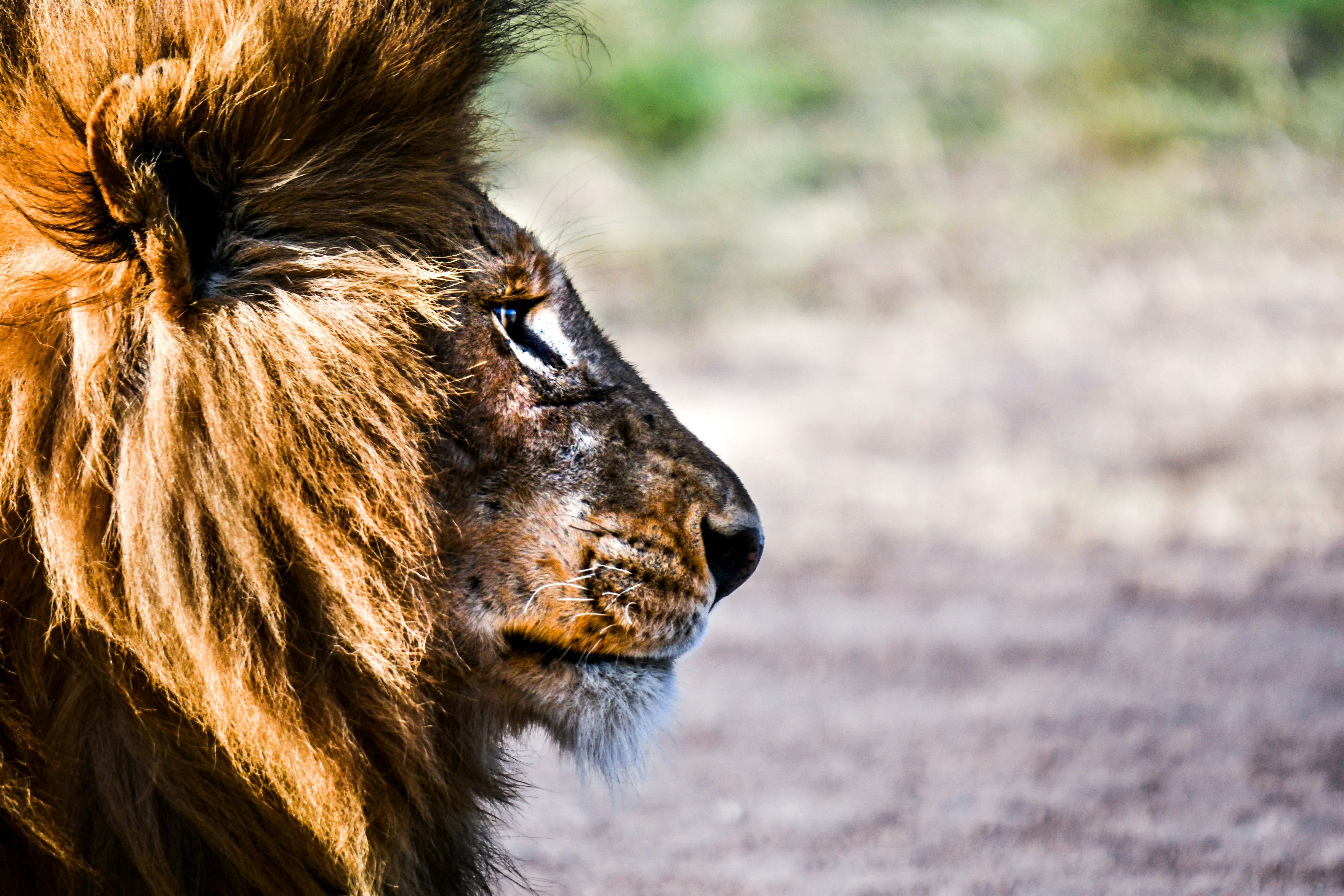 Photo by sampowerphoto