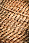 Close-up of a textile fiber under a microscope showing detailed texture.
