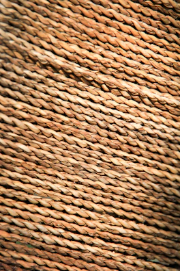 Close-up of a textile fiber under a microscope showing detailed texture.
