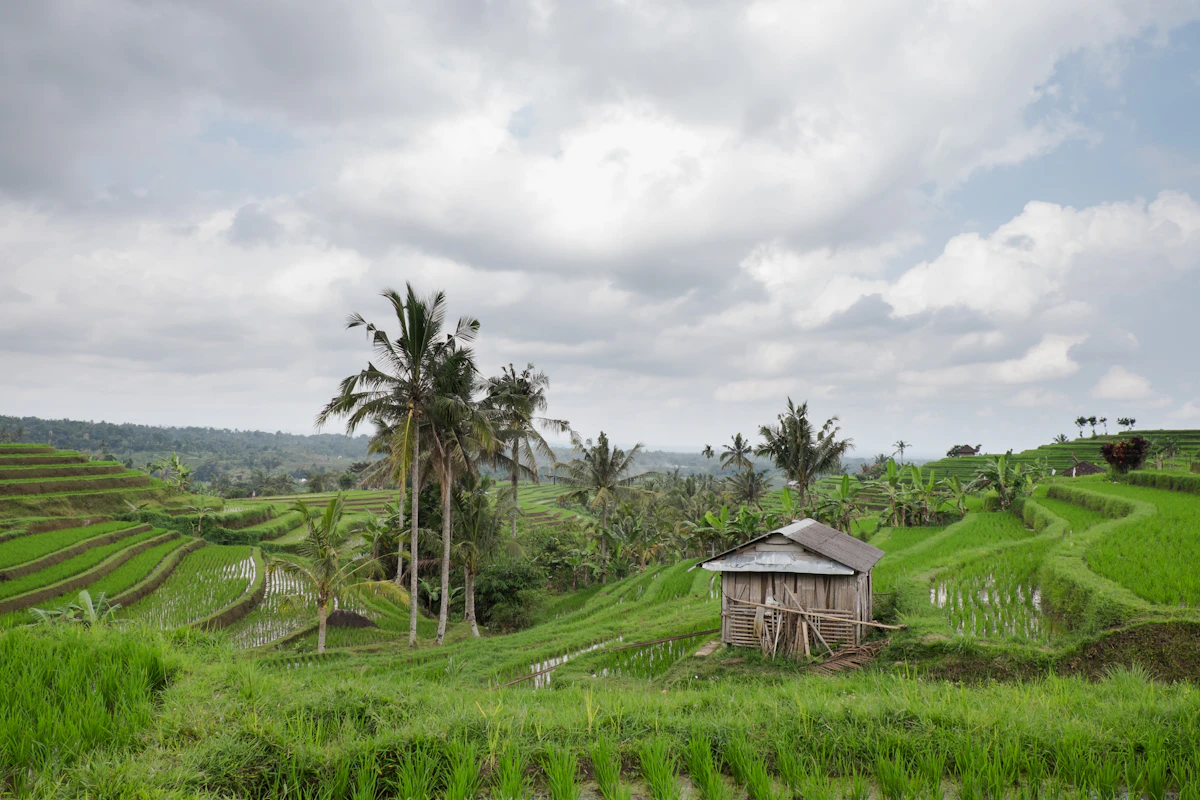 Pondok kecil di tengah ladang