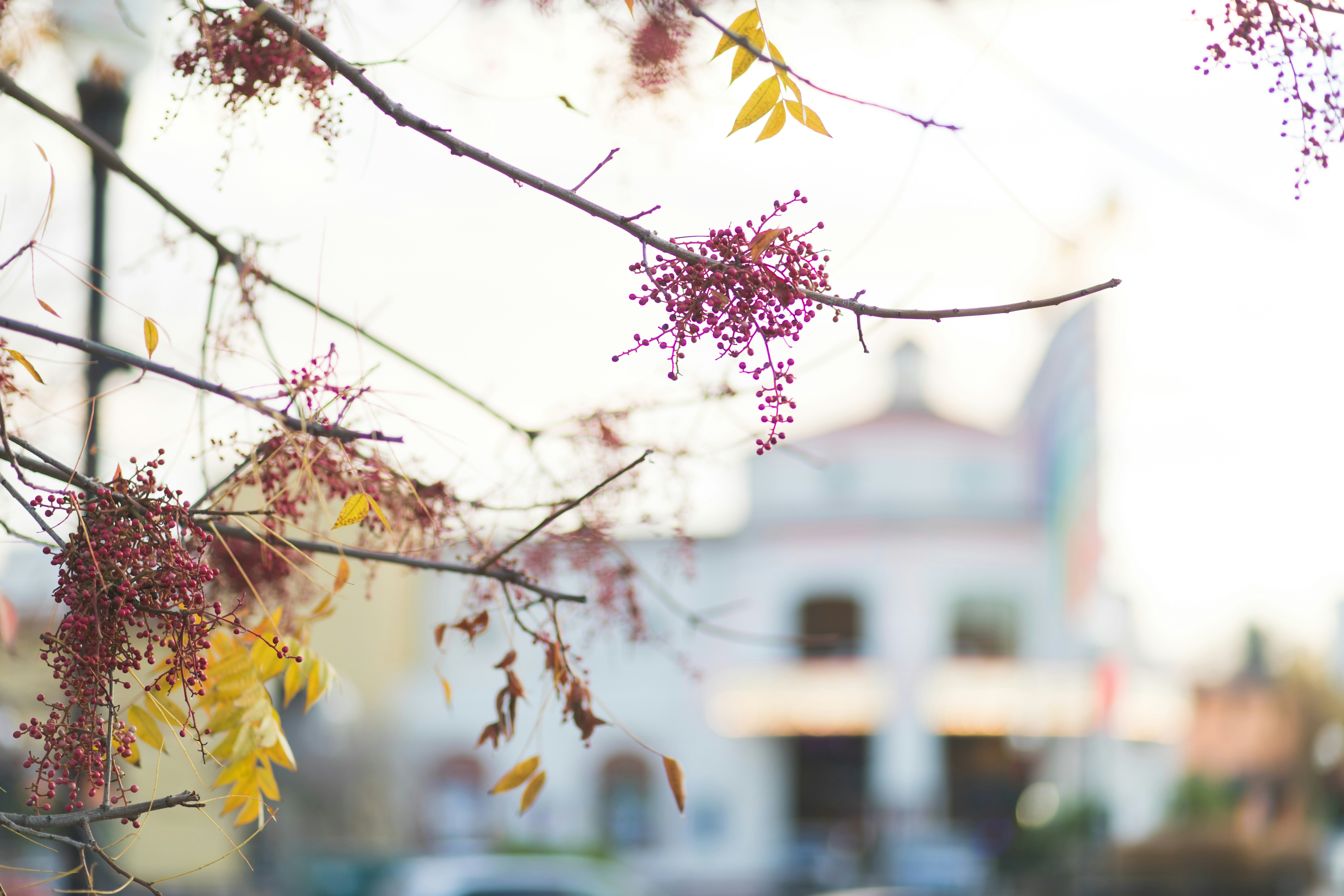 Photo by sixteenmilesout