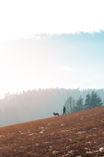 A veteran and his companion dog trekking through a snowy backcountry trail in daylight