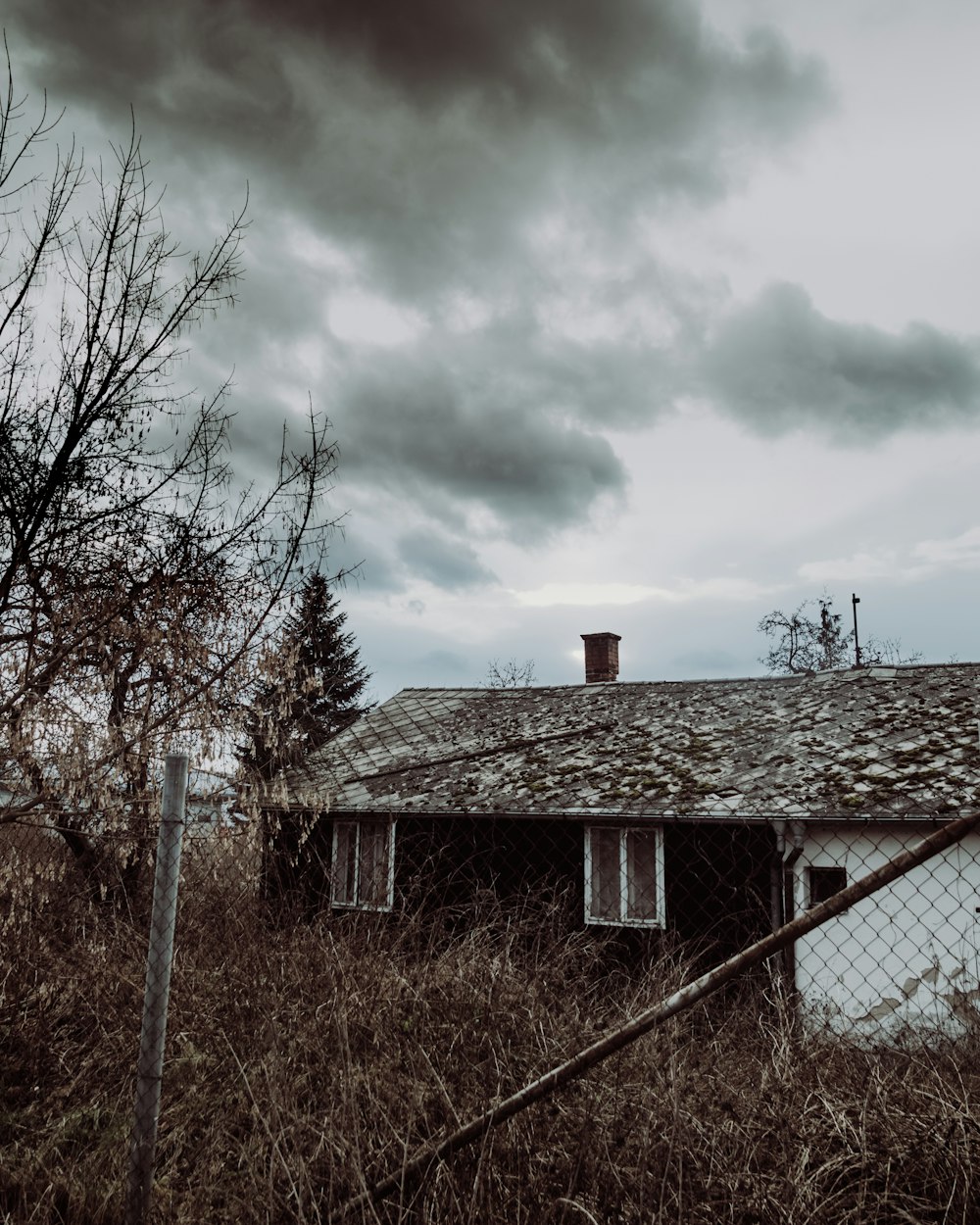 house surrounded by grass