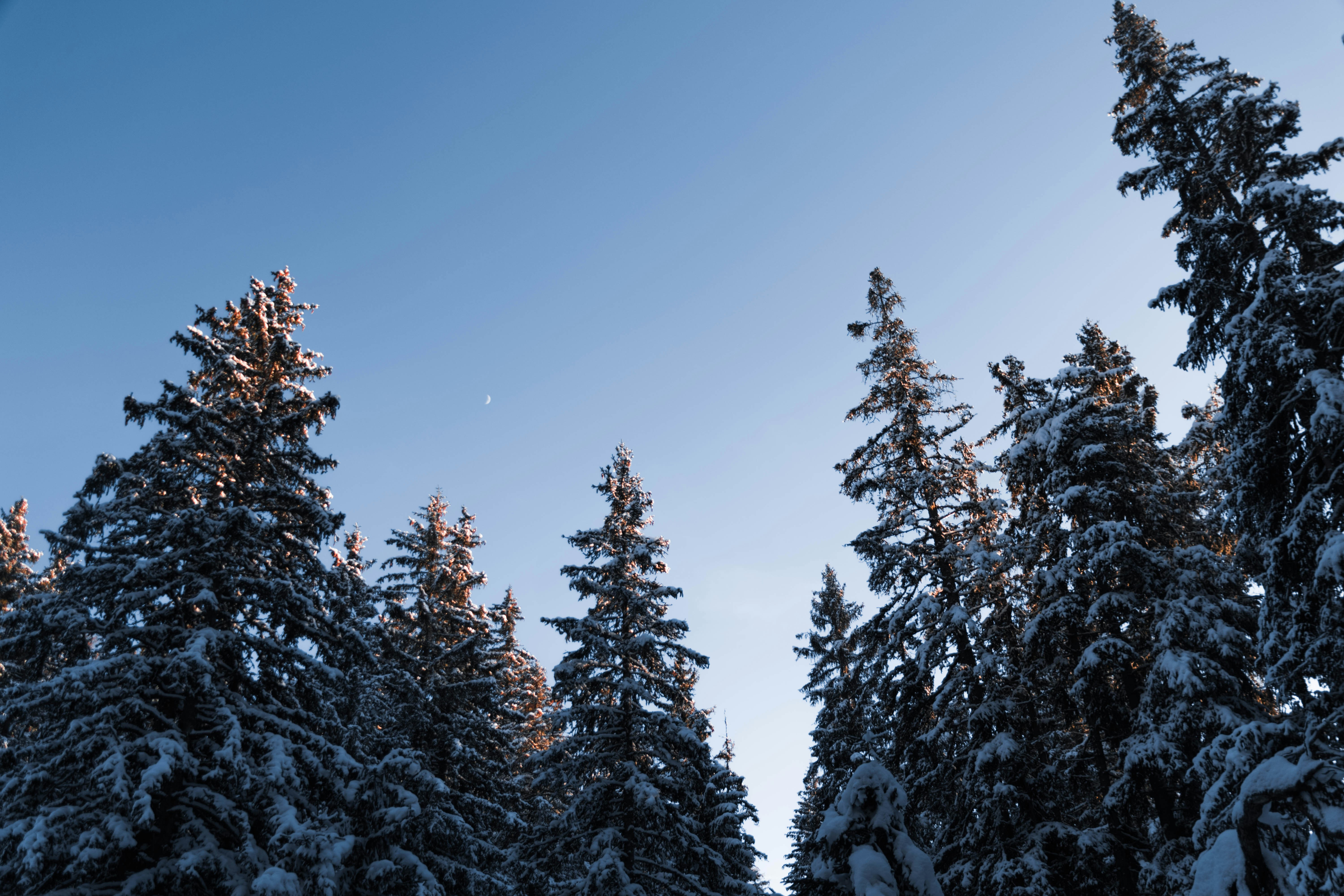 Photo by virussinside