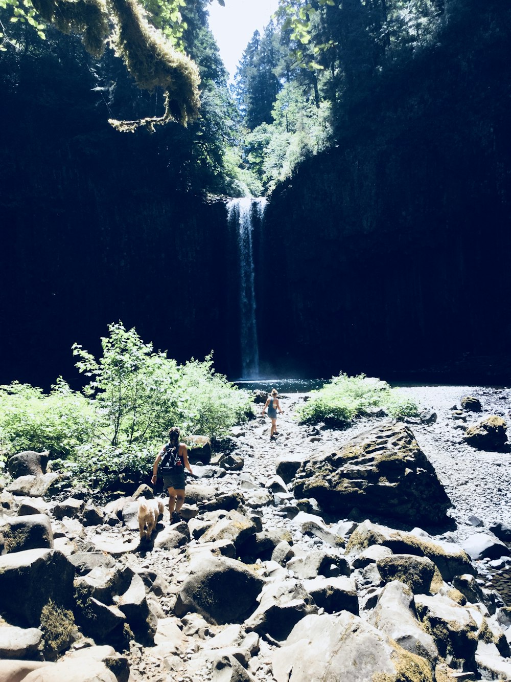 waterfall scenery