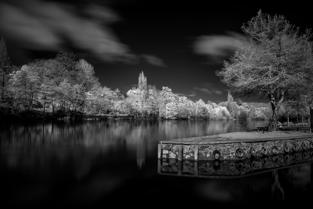 greyscale photo of trees beside river