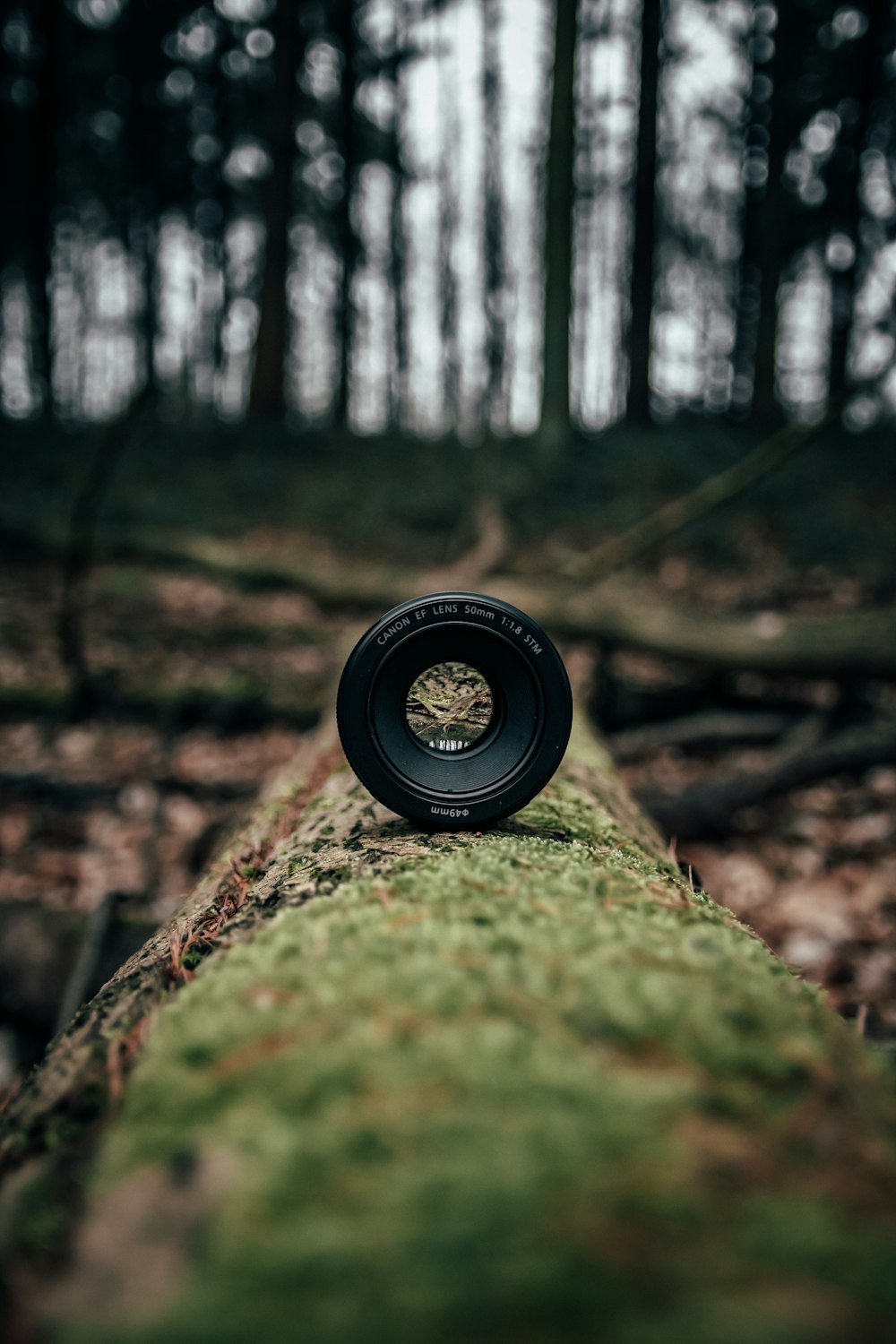 Fotografía de enfoque selectivo de la lente de la cámara