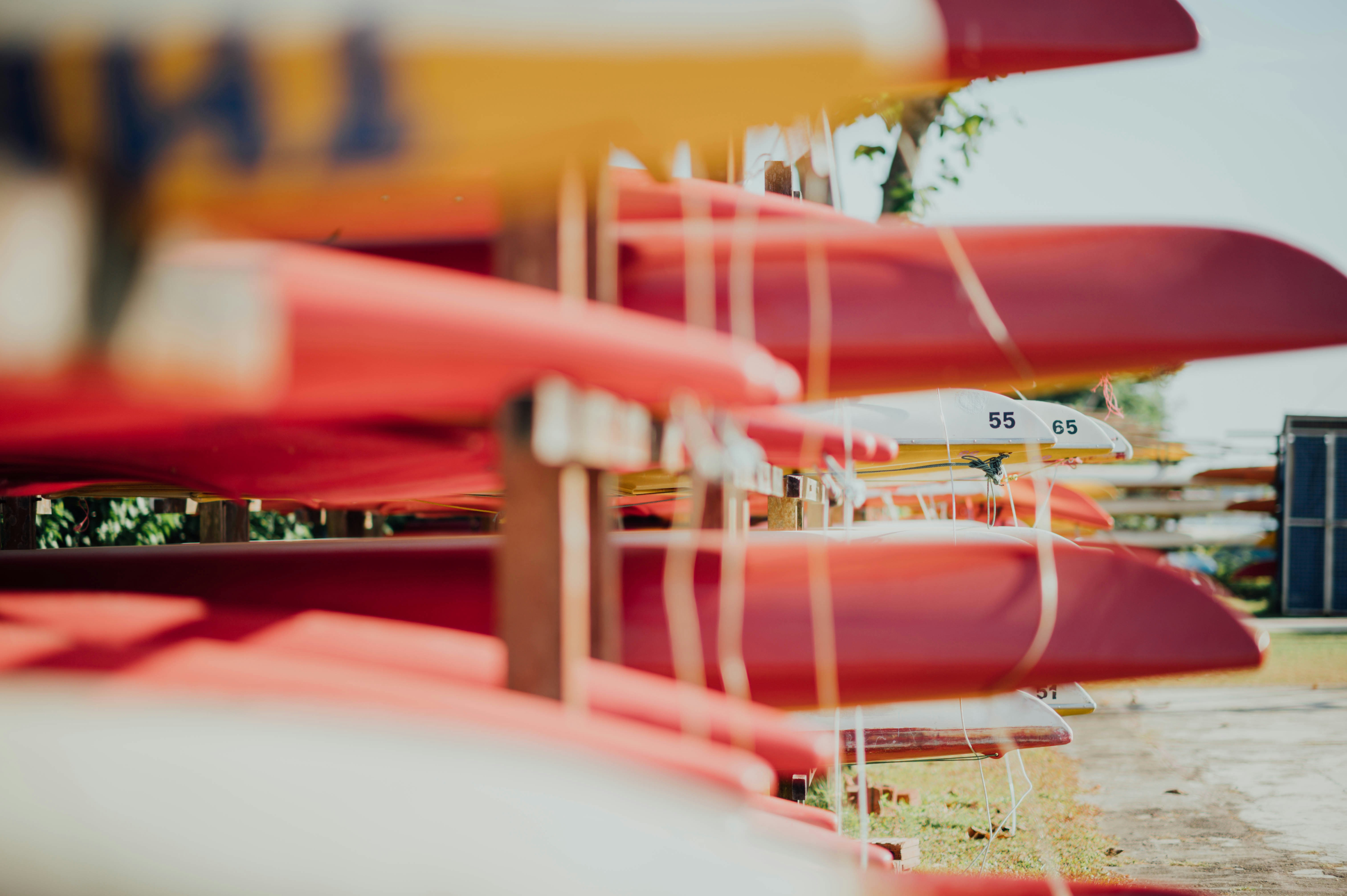 Photo by chuttersnap