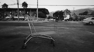 gray shopping cart