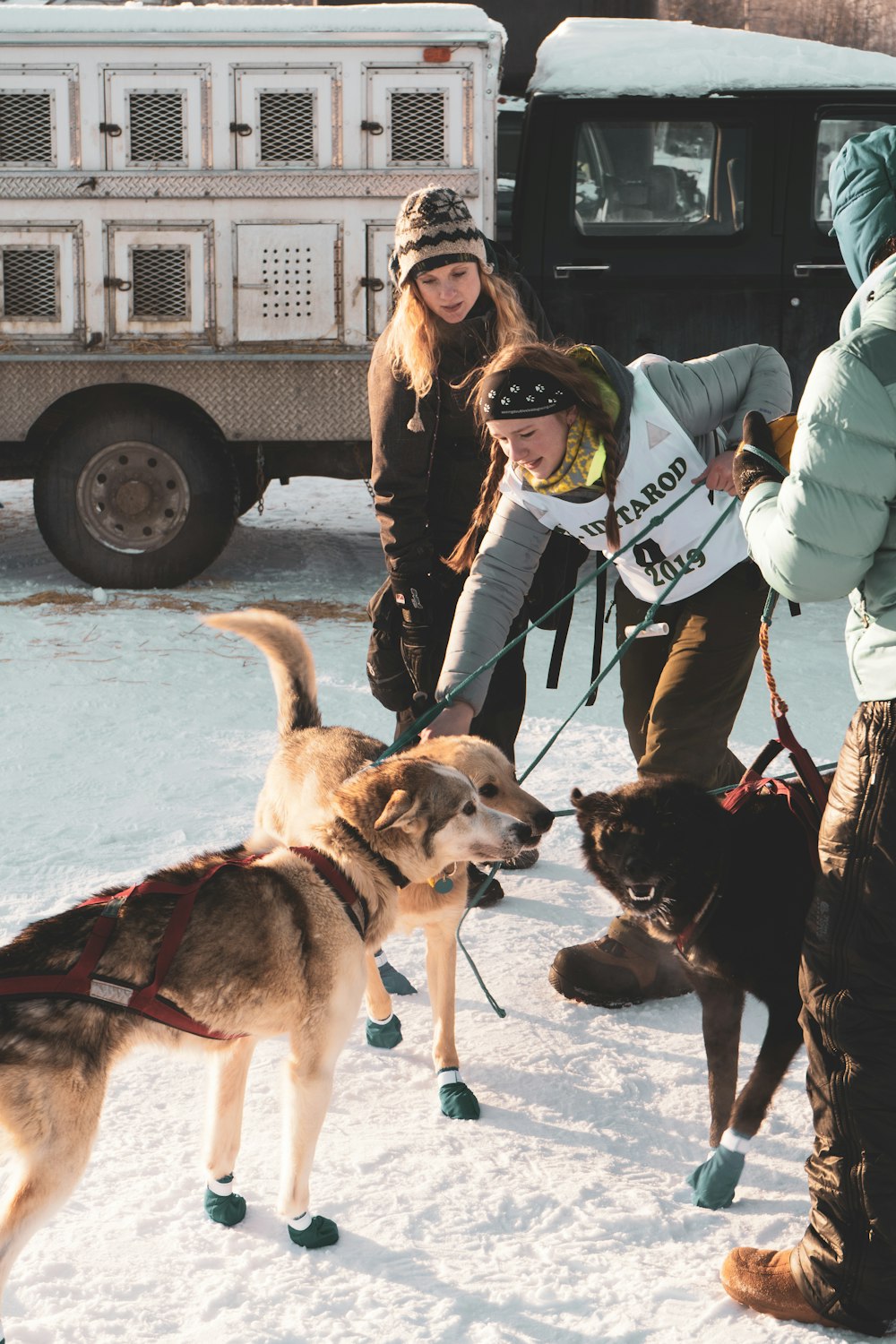 women walking with dogs