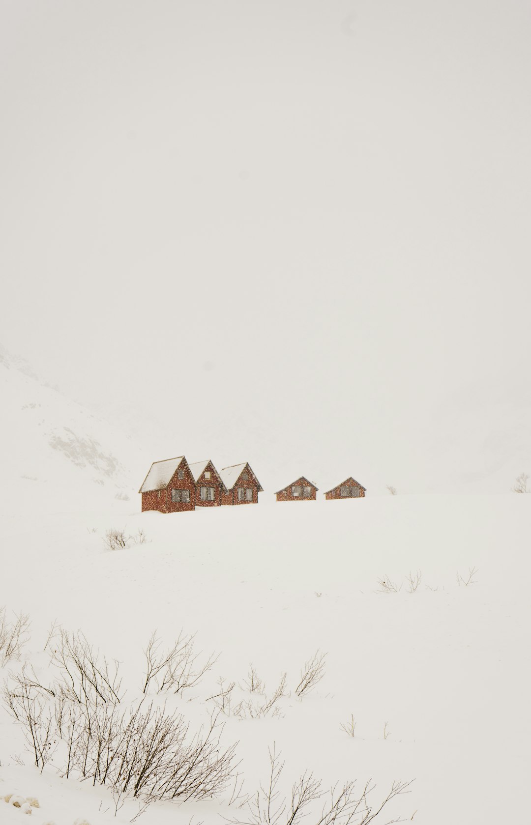 houses on snow covered field