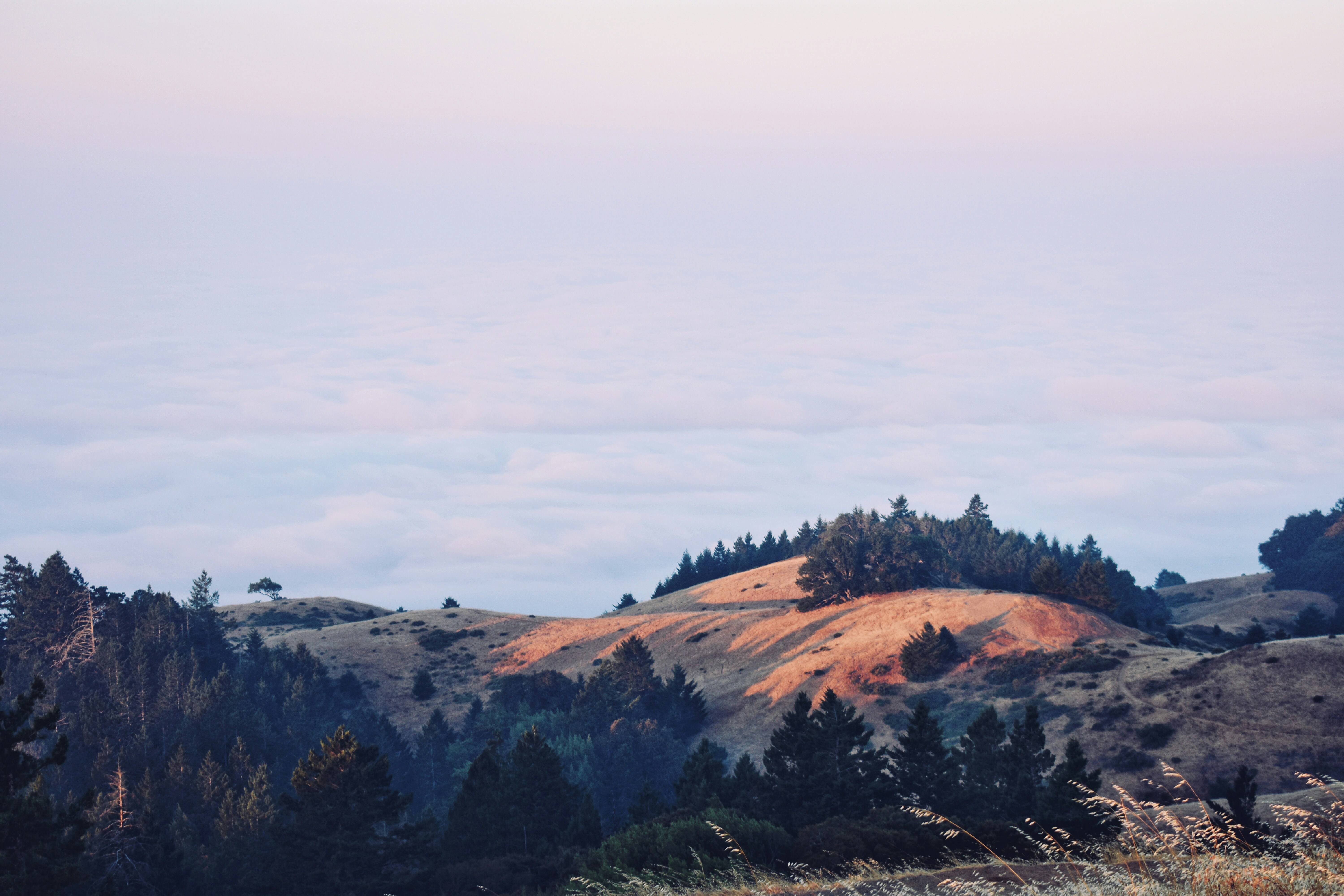 Photo by 8120585096a