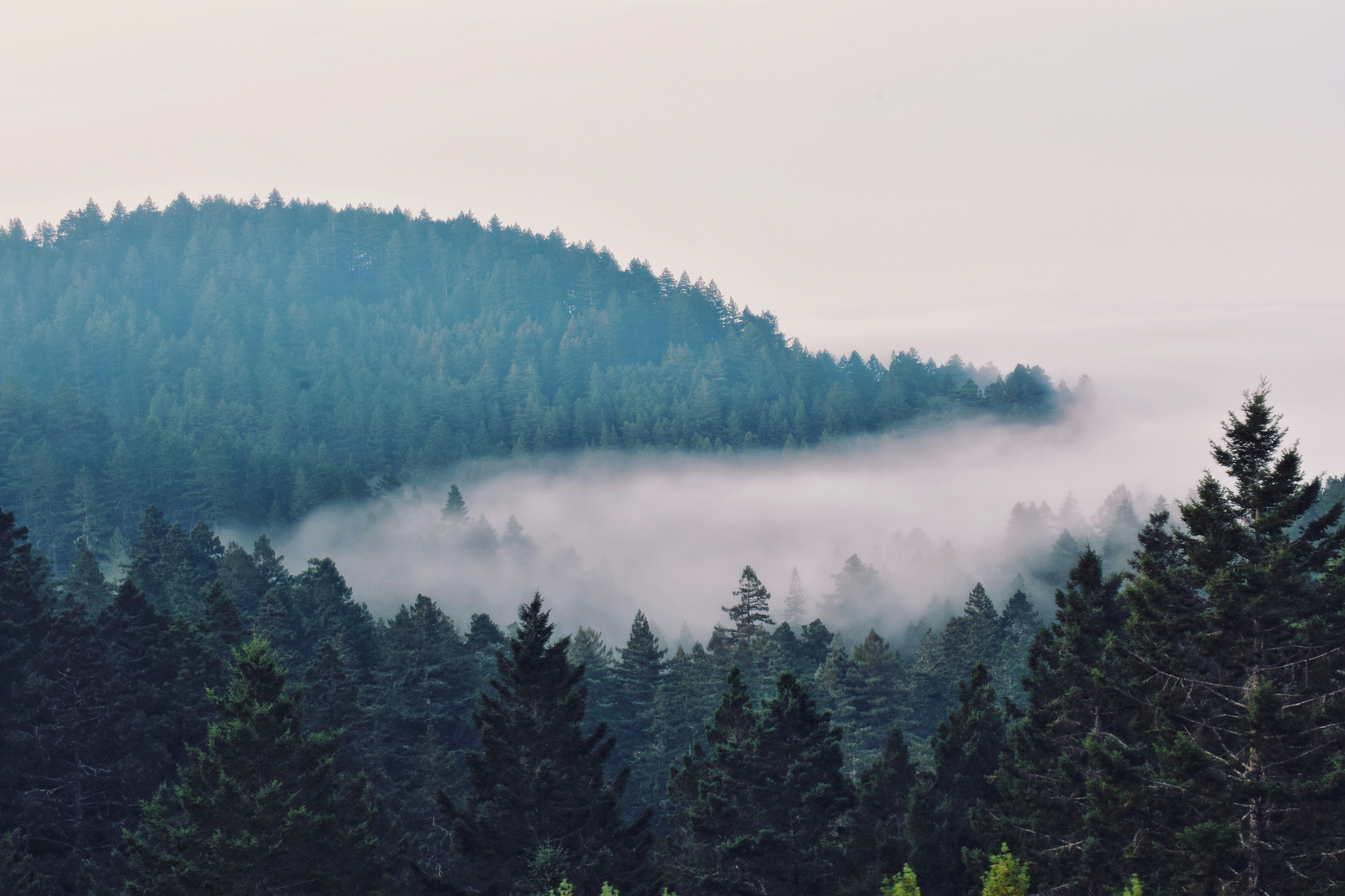 Photo by 8120585096a