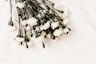 white flower on white surface