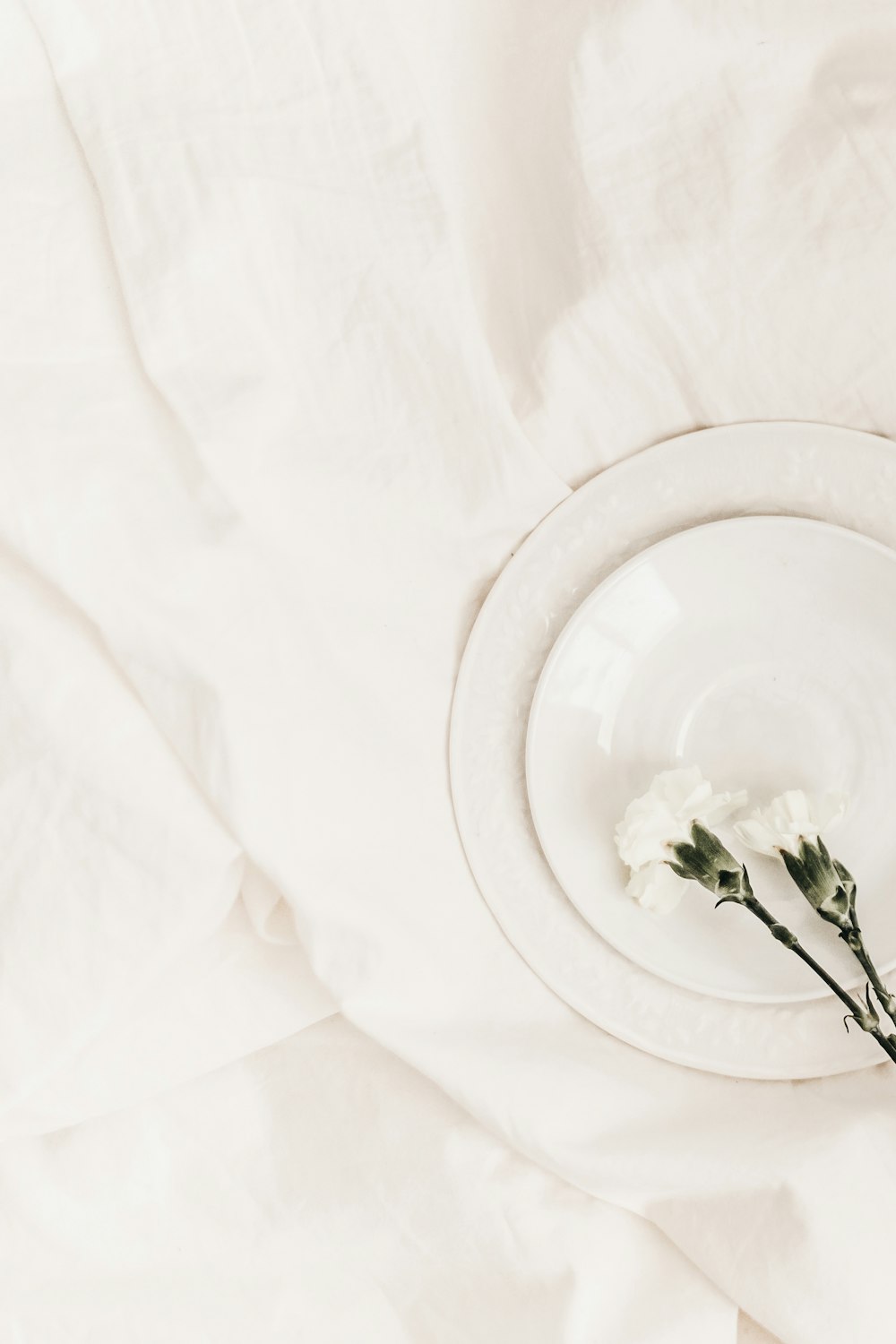 Fotografía plana de dos flores blancas en la parte superior de la placa blanca