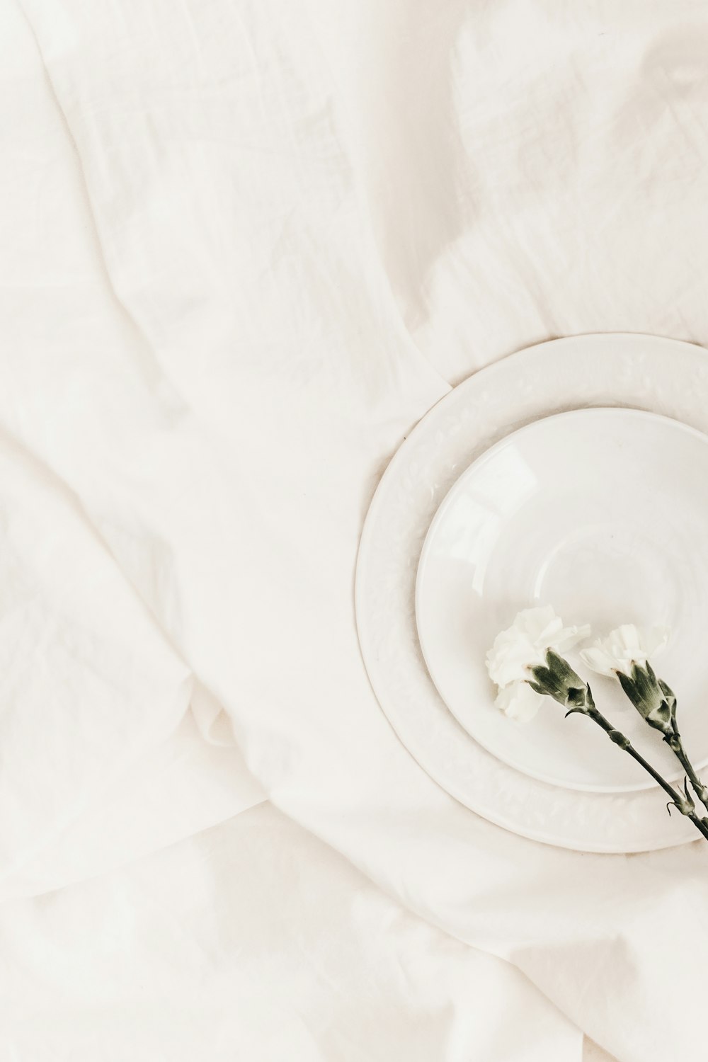 flat lay photography of two white flowers on top of white plate