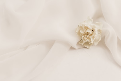 A soft pink rose resting gently on a white silk fabric, evoking elegance and calm.