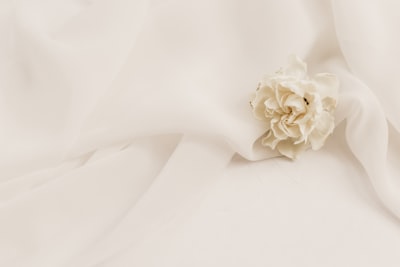 white textile elegant zoom background