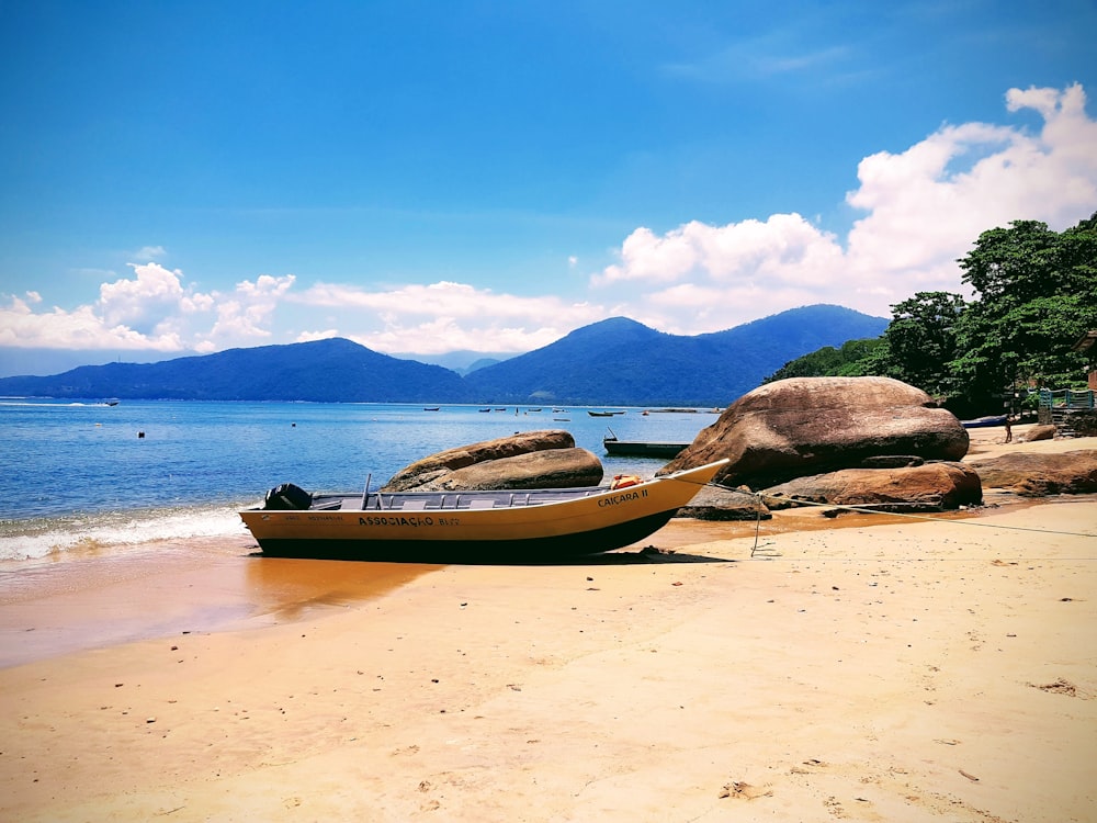 brown boat docking on shore