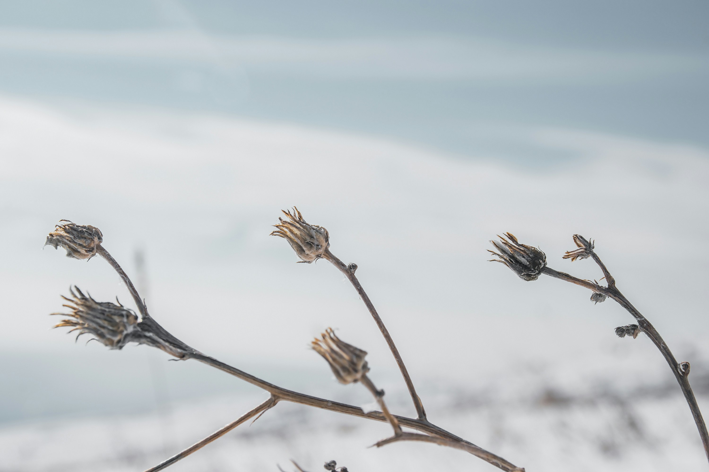 Photo by vardanharutyunyanphotography