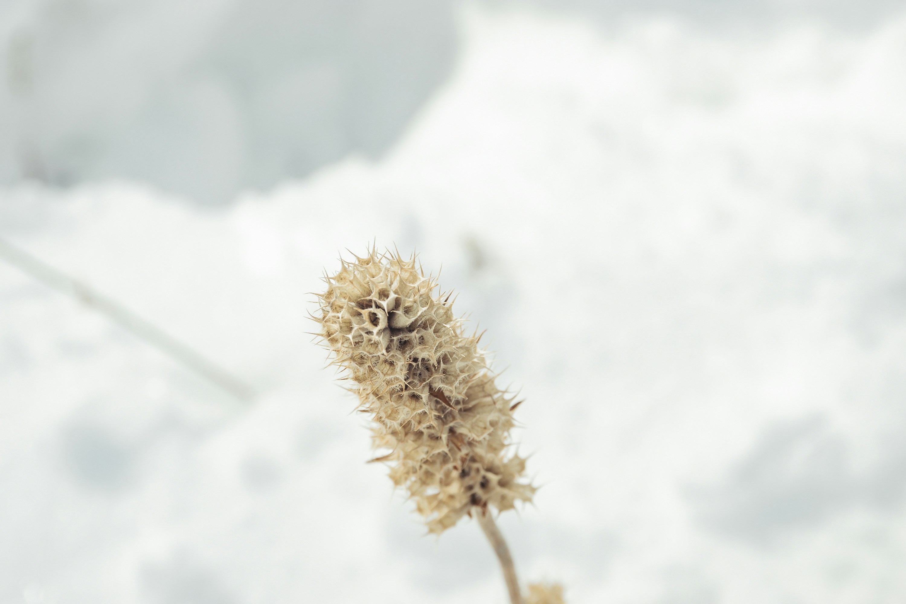 Photo by vardanharutyunyanphotography