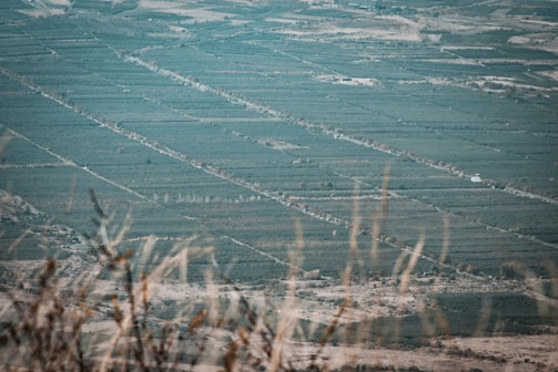 Fields of crops representing local agriculture.