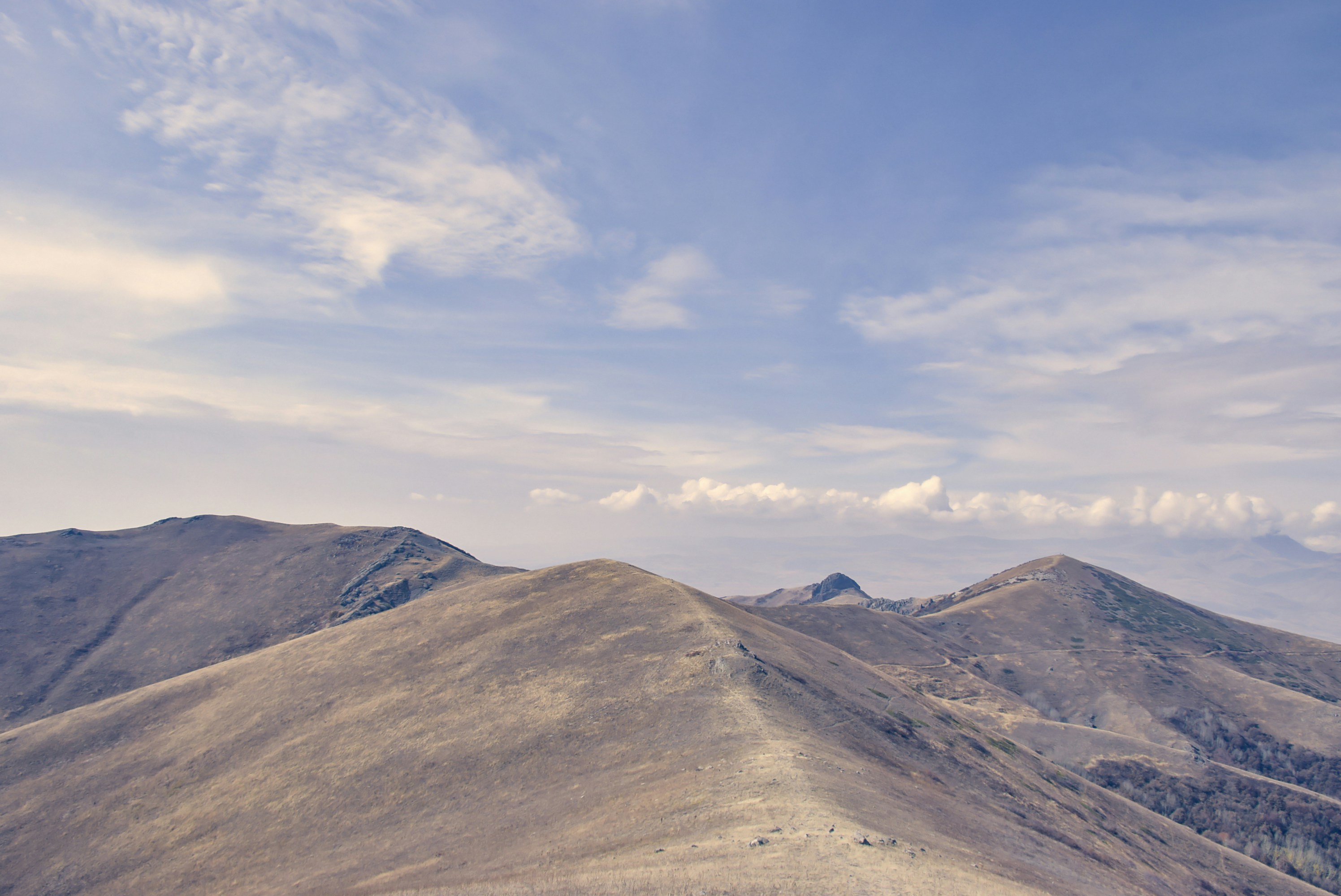 Photo by vardanharutyunyanphotography