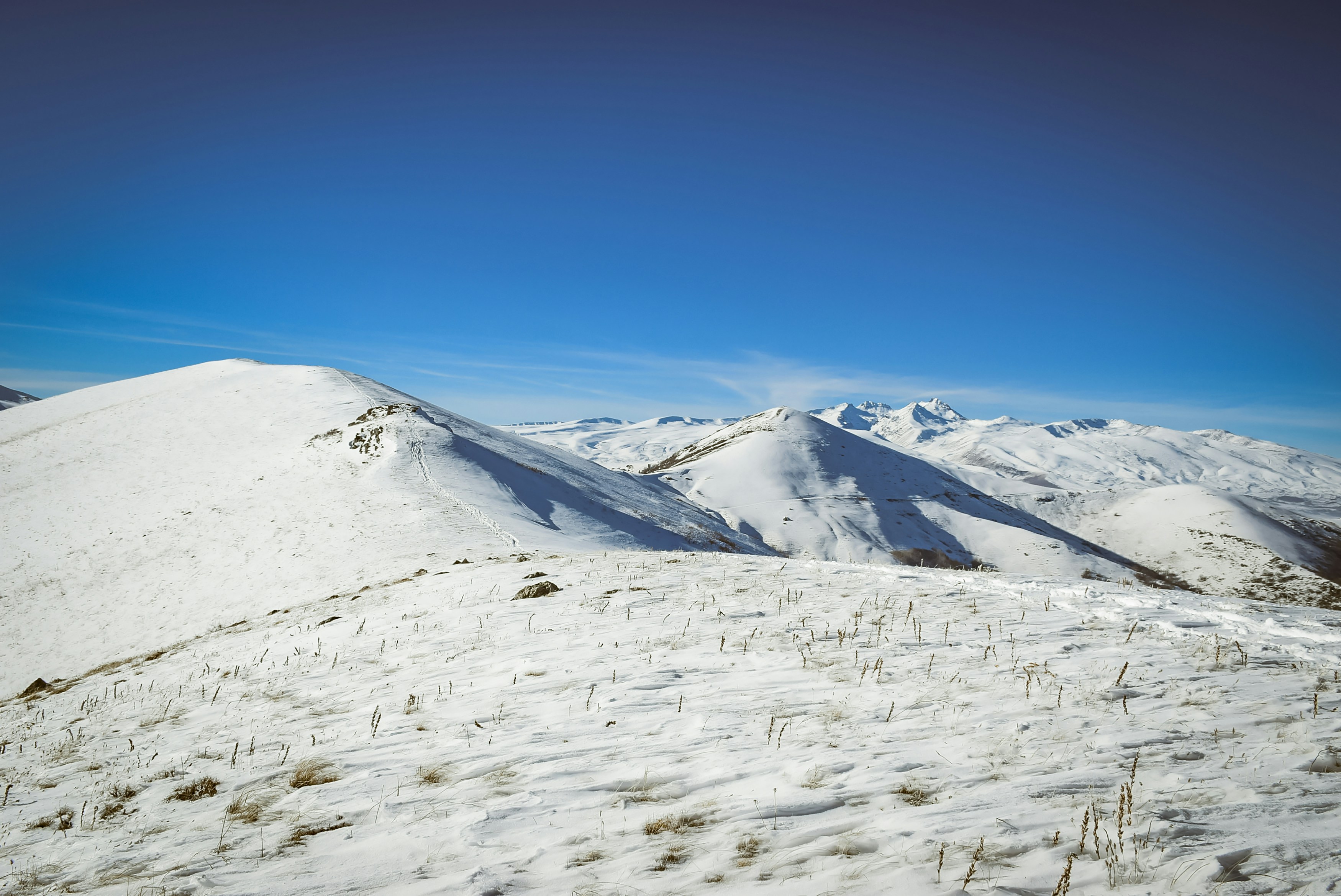 Photo by vardanharutyunyanphotography