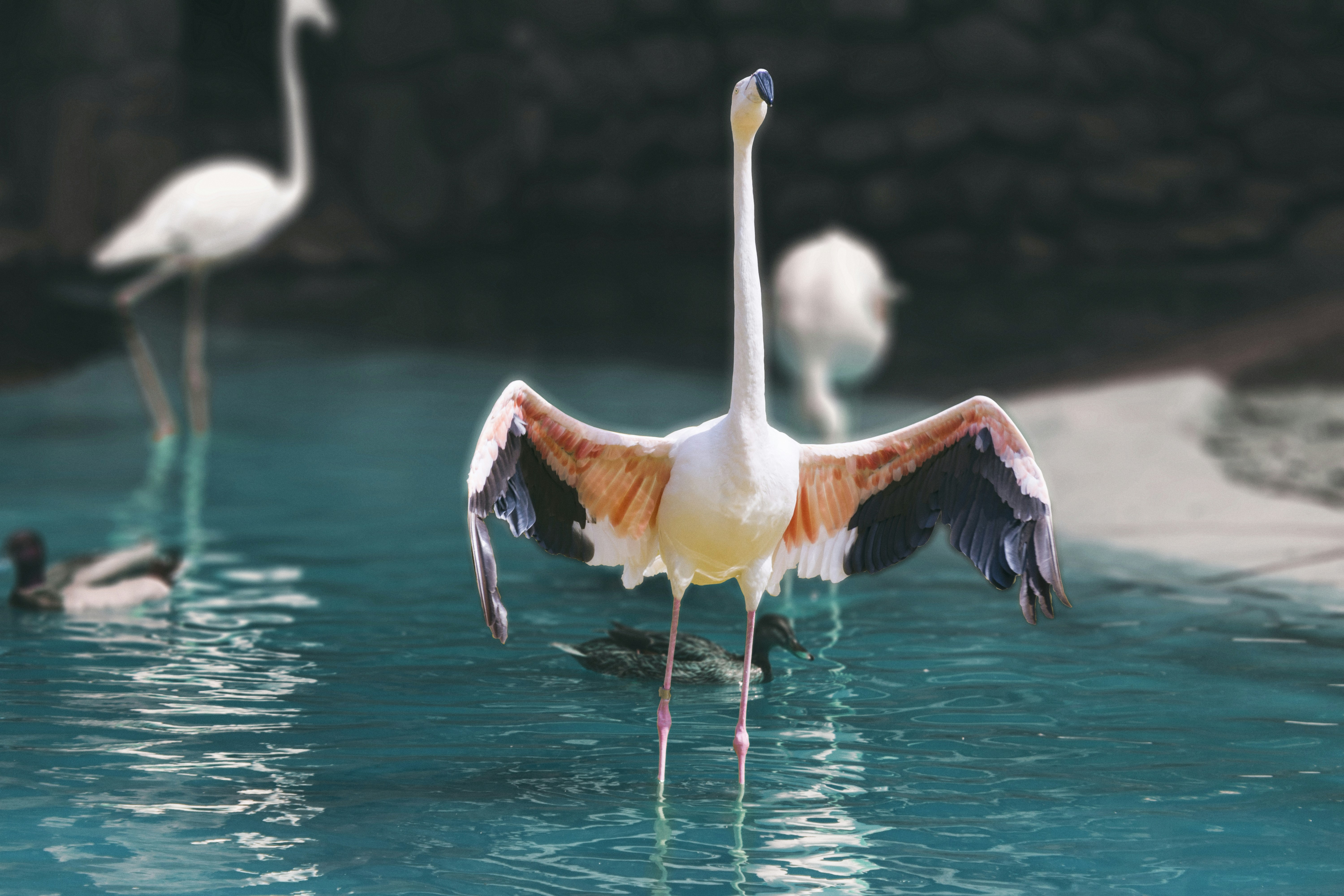 Photo by pooya_ramezani