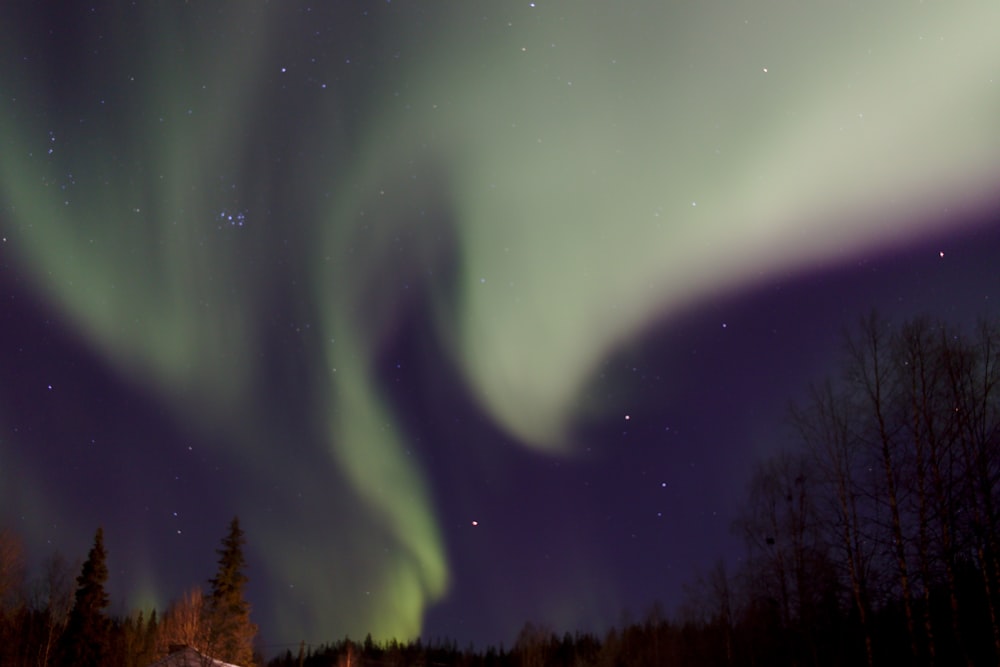 lights at the sky during night