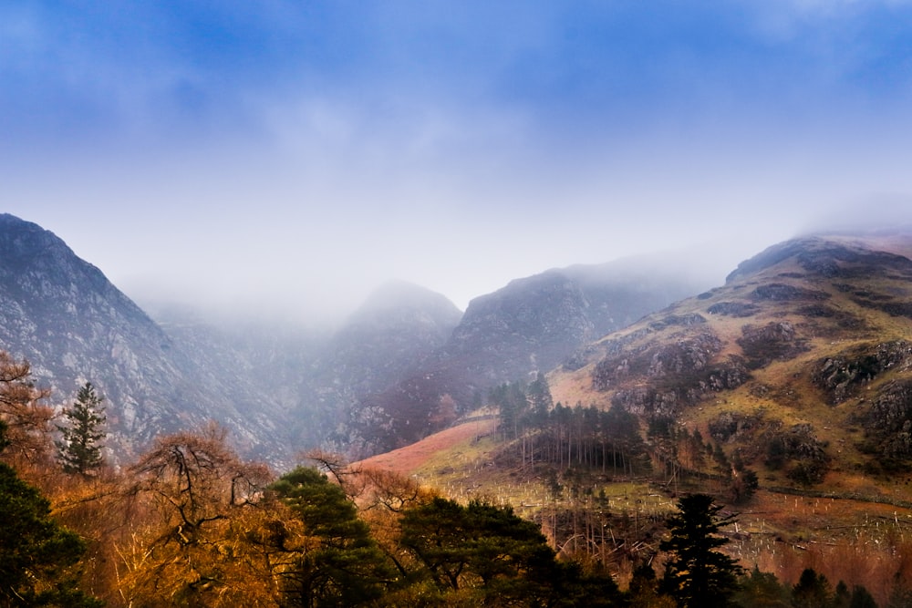 mountain covered in fog