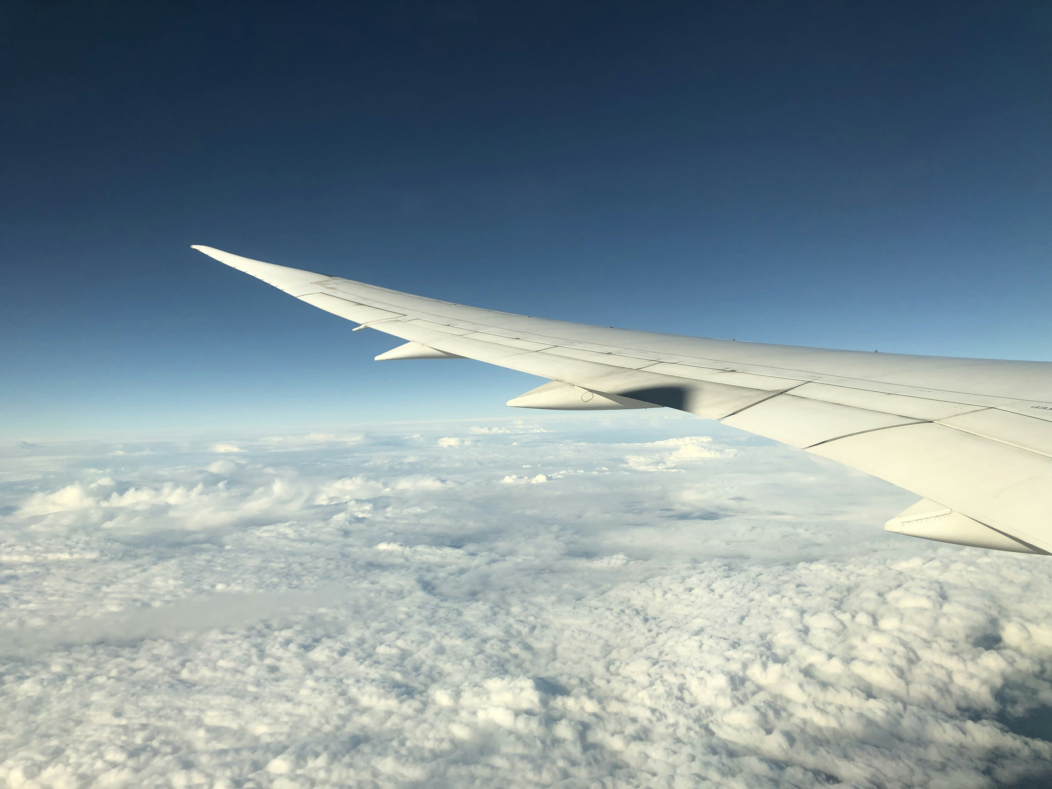 Photo by thetypicalshutterbug