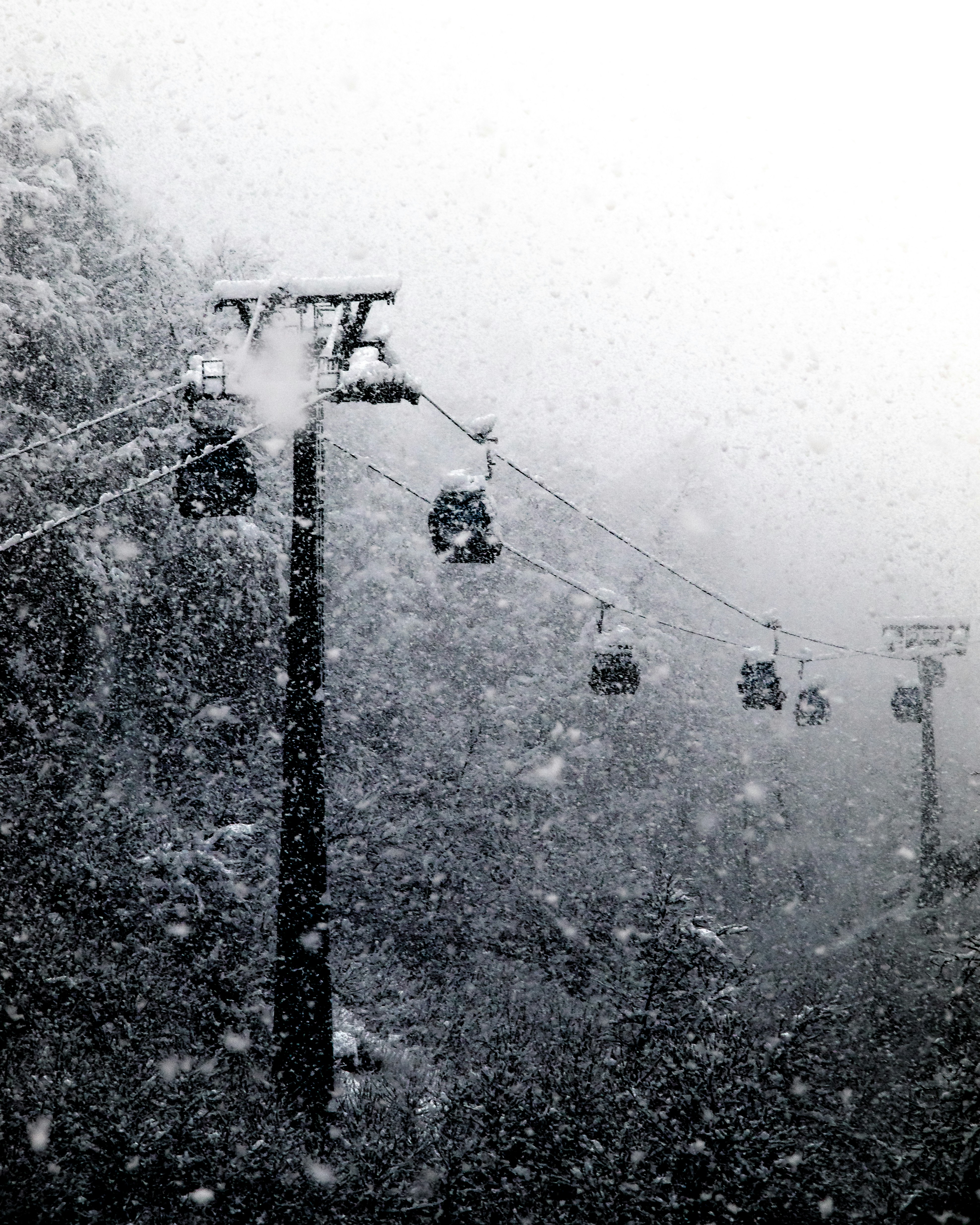 Photo by kirillpershin