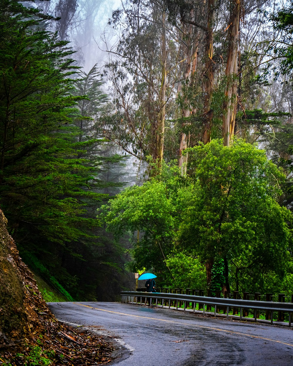 une personne avec un parapluie bleu sur une route