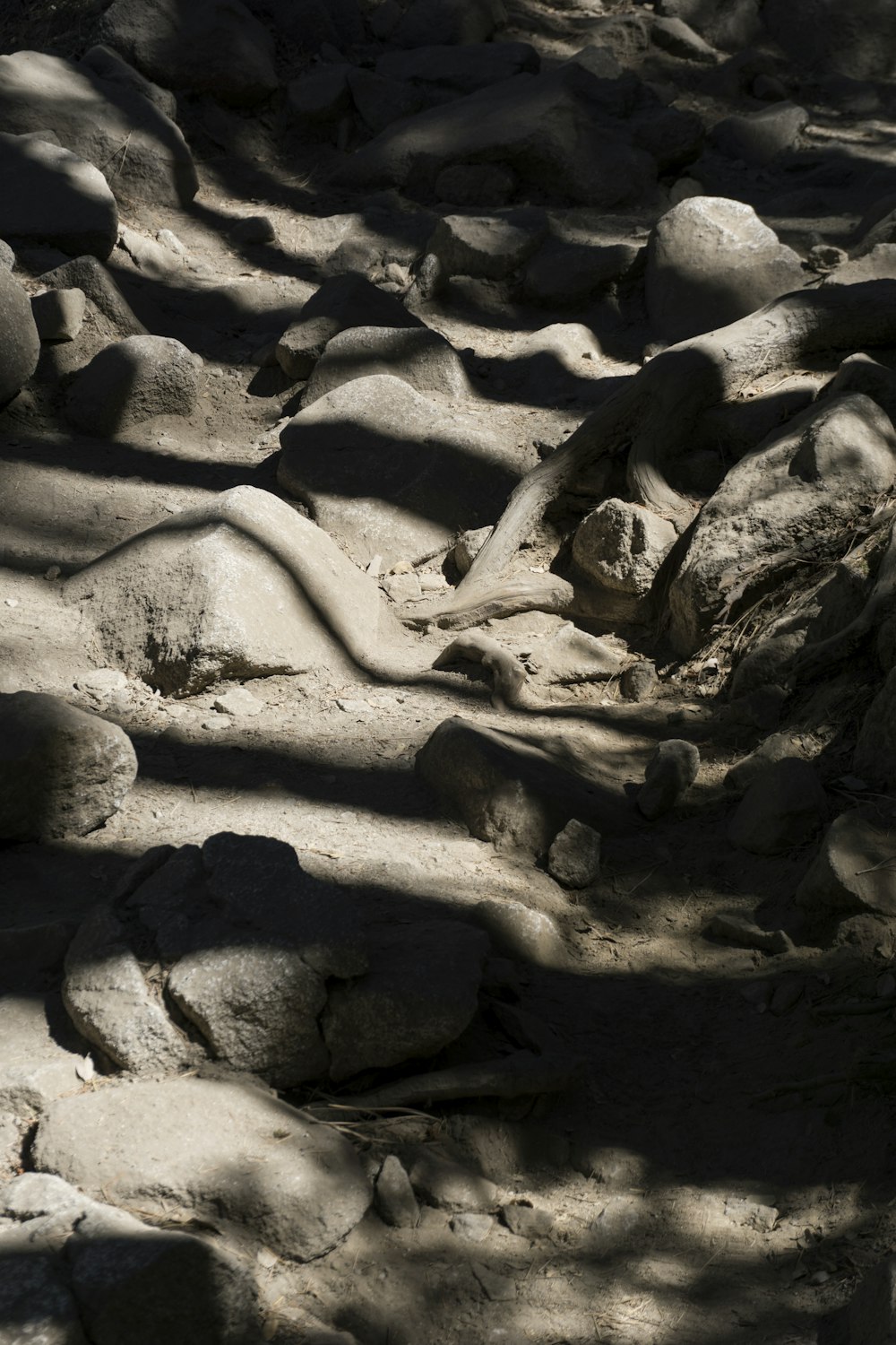 concrete surface covering shadow