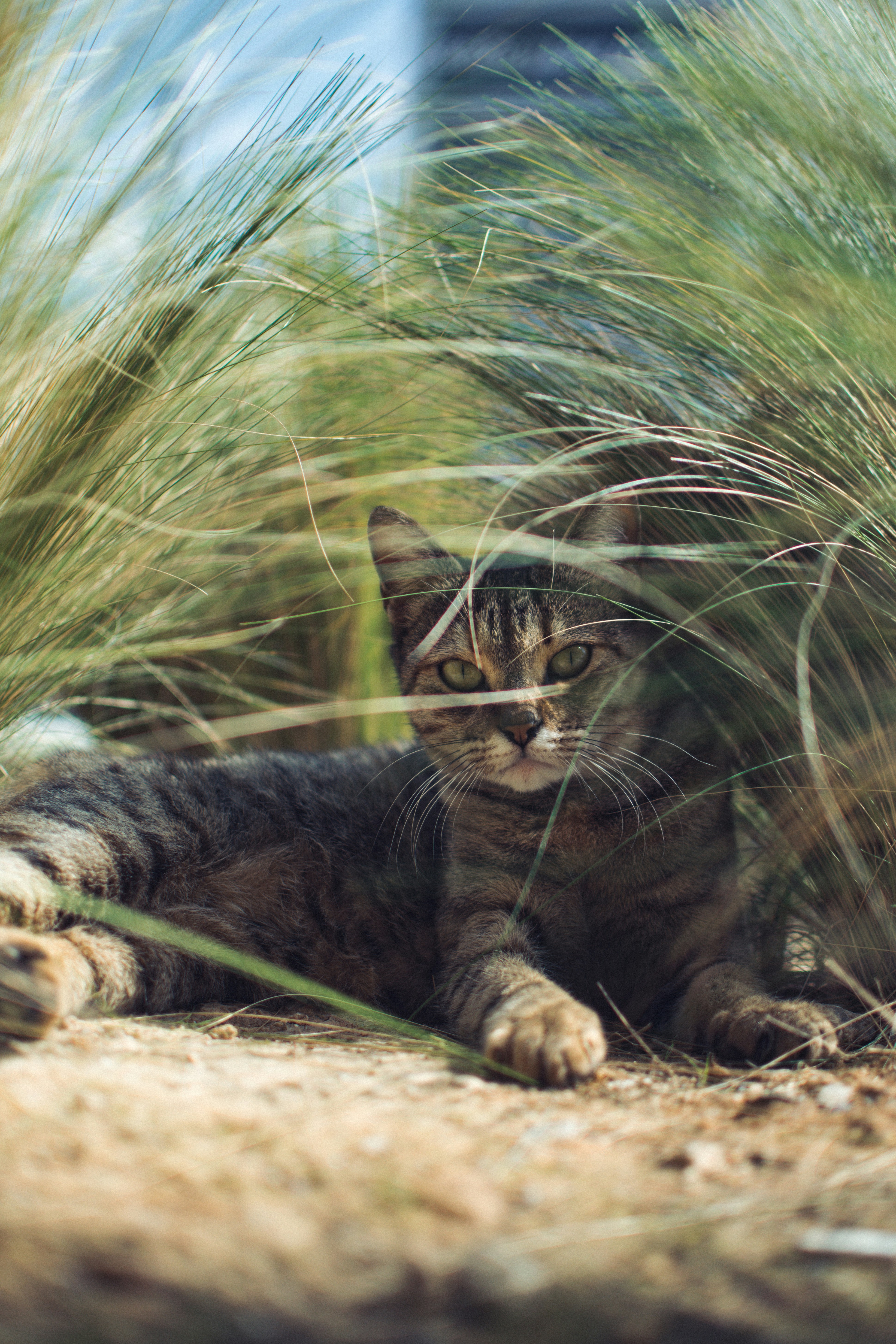 photo-1551487448-007a6b5d3266?ixlib=rb-1.2.1&ixid=eyJhcHBfaWQiOjEyMDd9&auto=format&fit=crop&w=934&q=80
